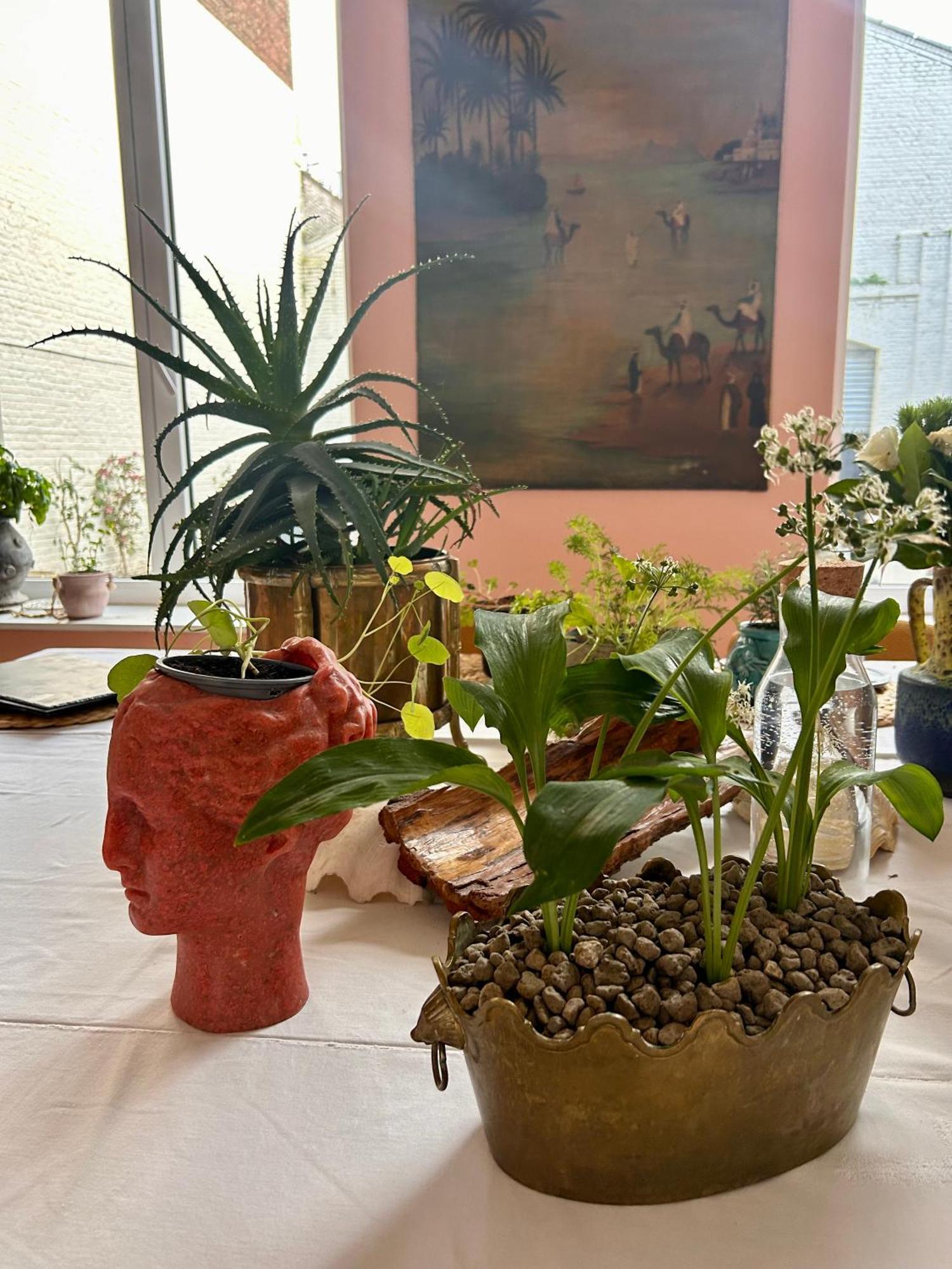 Maison Georges Tourcoing Extérieur photo